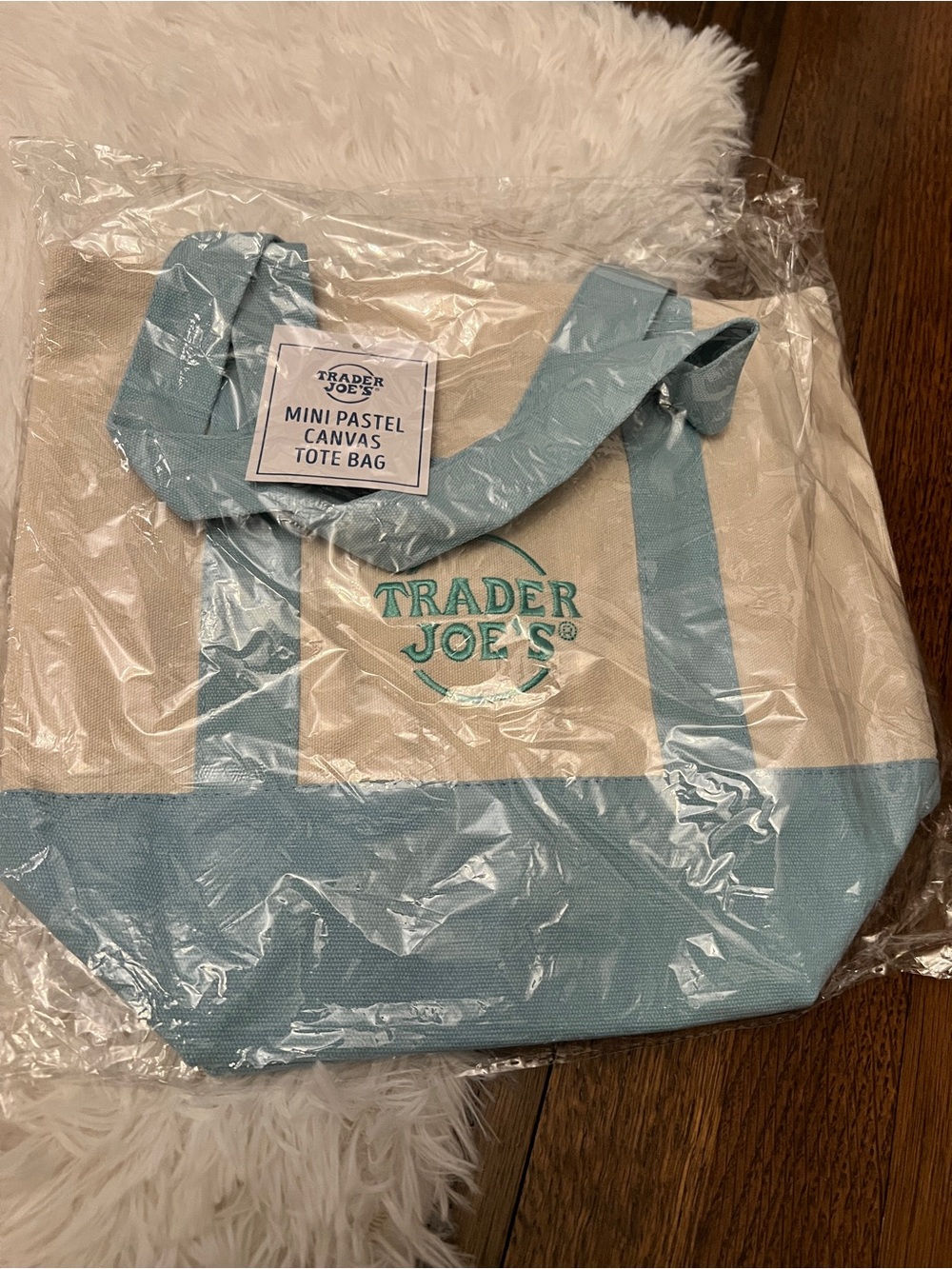 Trader Joe's Mini Canvas Tote Bag in Light Blue